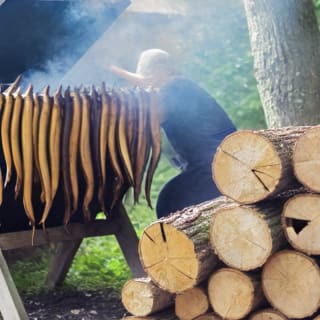 Fehler beim Aale räuchern