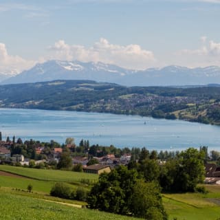 Angeln am Hallwilersee