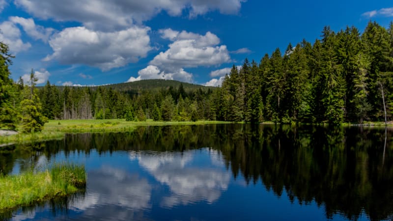 Fichtelsee im Fichtelgebirge<br>