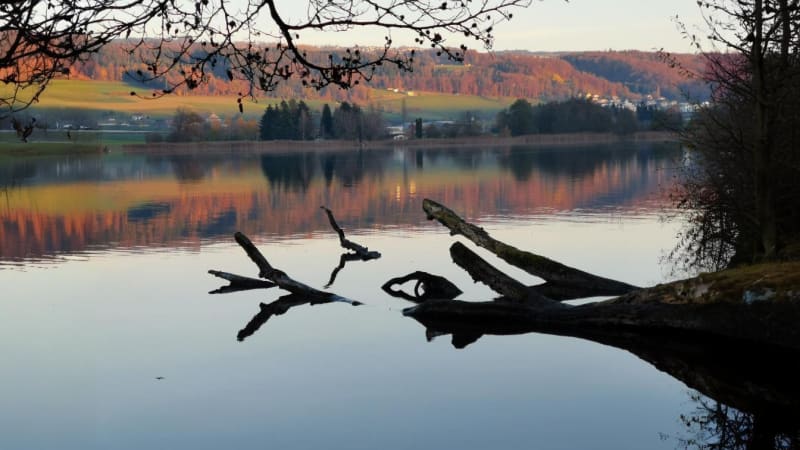 Hallwilersee